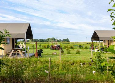  Glamping on horse farm near the coast - 2