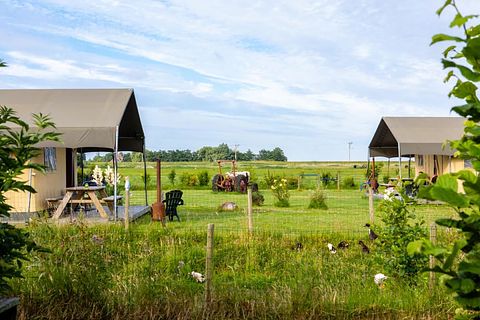  Glamping on horse farm near the coast - 2