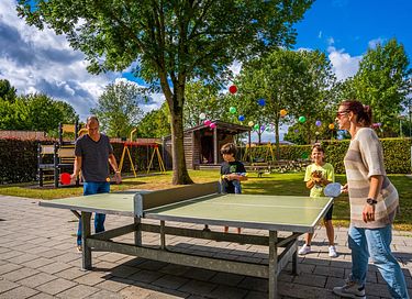 Spacious glamping tent for 4 people in Limburg - 18