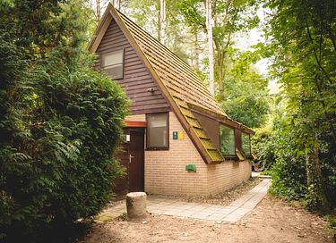 Maison dans la forêt pour 6 personnes en Belgique - 23