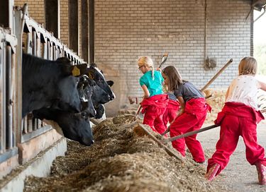 Glamping op knusse koeienboerderij - 7