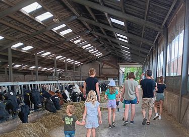 Bijzonder verblijf op biologische boerderij - 23
