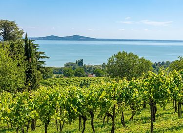 Vakantiehuis vlakbij het Balatonmeer - 29