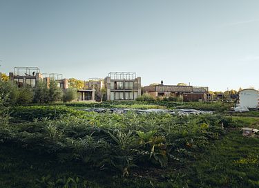 Wooden vacation home near Amsterdam! - 13