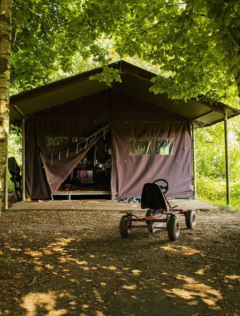 Glamping in Drenthe with a shower next to the tent - 3