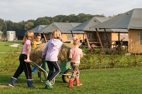 Glamping à la ferme des Alpagas - 3
