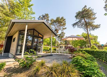 Cozy Tiny House for 4p in the Achterhoek