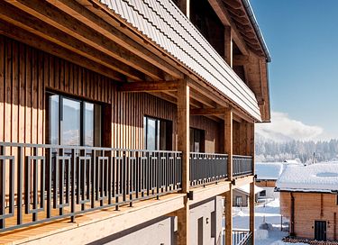 Luxury apartment with sauna in Austria - 2