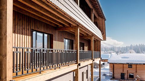 Luxury apartment with sauna in Austria - 2