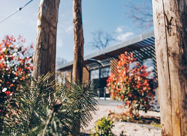 Designhaus mit privatem Wellness - 27