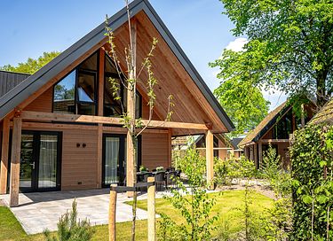 Luxury villa with hot tub on the Veluwe - 6