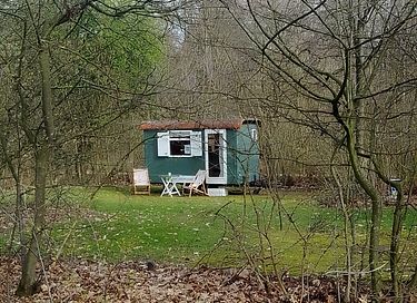 Gezellige pipowagen in landelijk Hummelo  - 14