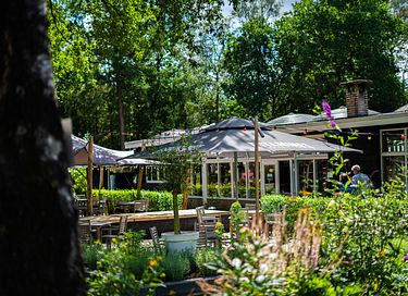 Ruime villa (10p) met sauna op de Veluwe - 39