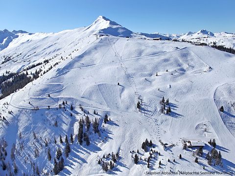 Bosrijk chalet in Oostenrijk (6p) - 4