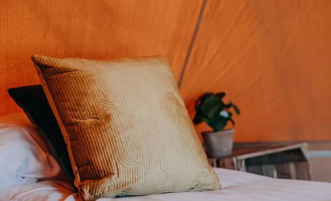 Luxe ingerichte safaritent voor 2-4 personen - 3