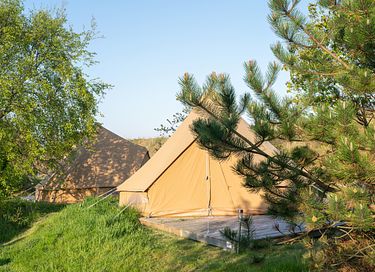 Luxuriöses Familienzelt auf der Insel Ameland - 10
