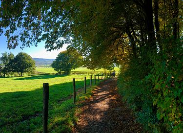 B&B in beautiful Limburg castle - 31