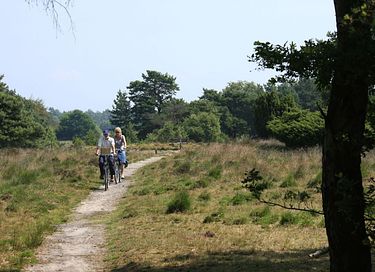 Unieke Glamping ervaring in Drenthe - 39
