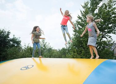 Huisdiervriendelijk verblijf met wellness - 36
