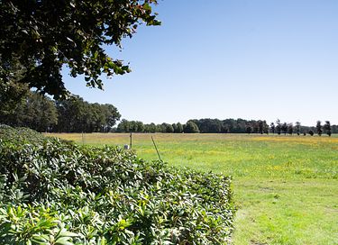 Découvrez la magie du camping dans une roulotte - 16