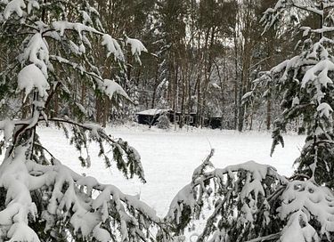 Private forest cottage with fireplace - 20