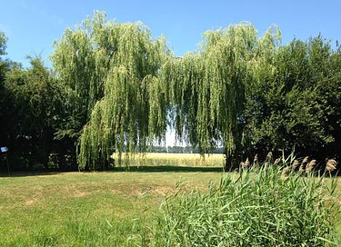 Jurte für 8 Personen in Zeeland - 14
