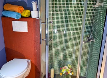 tiny house colorée dans le verger - 21