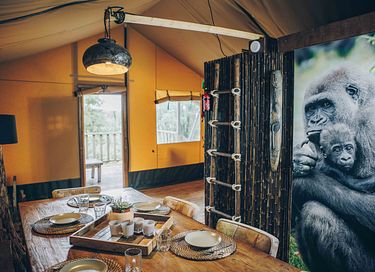 Tente safari de luxe en camping polyvalent - 15