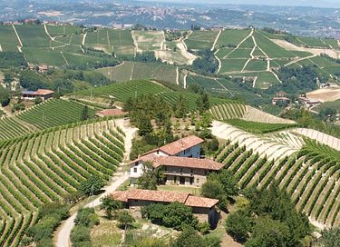 ferienwohnungen inmitten der Weinberge