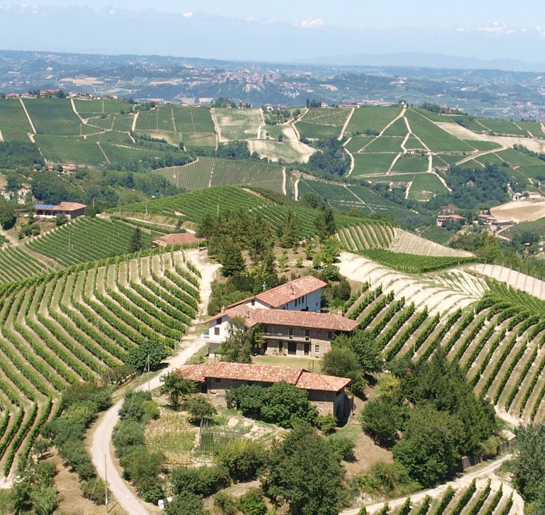 Logement de vacances au milieu des vignobles - 1