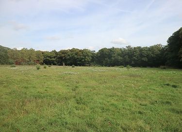 Houten vakantiehuis in het bos op de Veluwe - 21