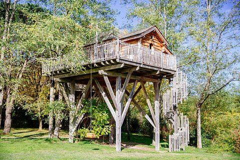 Sleeping Among the Tree Tops in a Wooden Castle - 3