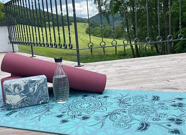 Haus im Sauerland mit privatem Hallenbad - 22