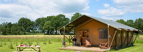 Glamping op Paarden & ponyboerderij - 3