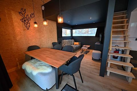 Boslodge met privé sauna  - 2