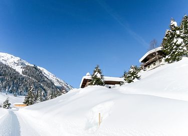 Vakantiehuis in Mayrhofen (Tirol) - 7