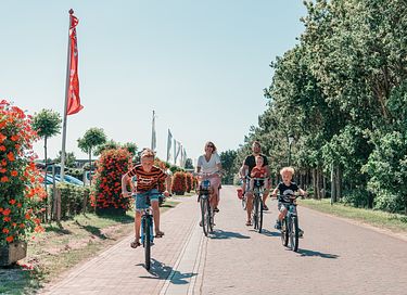 Prachtige familiecamping op Ameland - 35