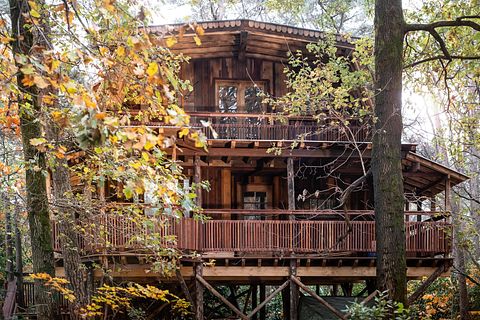 Luxe en ruime boomhut voor 6 personen - 3