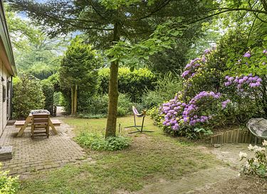 Mooi gelegen vakantiehuis midden op de Veluwe - 3