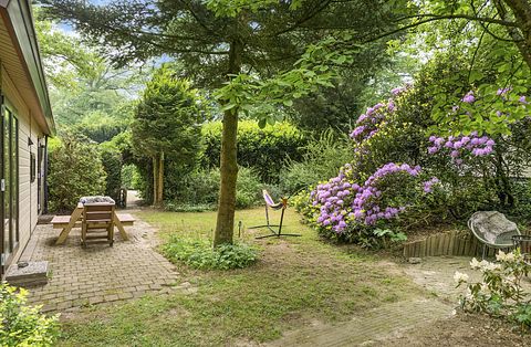 Mooi gelegen vakantiehuis midden op de Veluwe - 3