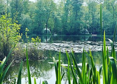 Kuppelzelt am Wasser mit eigenem Boot - 11