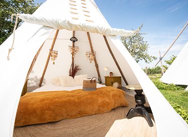 Slapen tussen de schapen in een tipi (5 pers) - 11