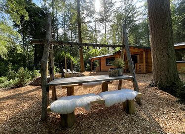 Tough luxury Scandinavian forest lodge on Veluwe - 14