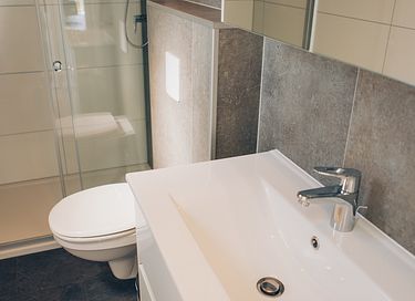 Spacieux lodge avec terrasse privée à Drenthe - 14