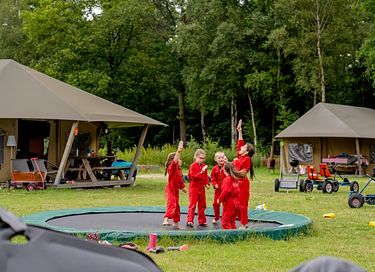 Glamping op knusse koeienboerderij - 5