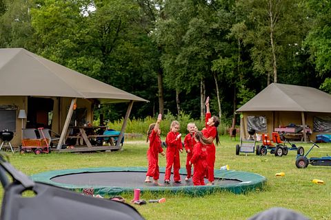 Glamping op knusse koeienboerderij - 5