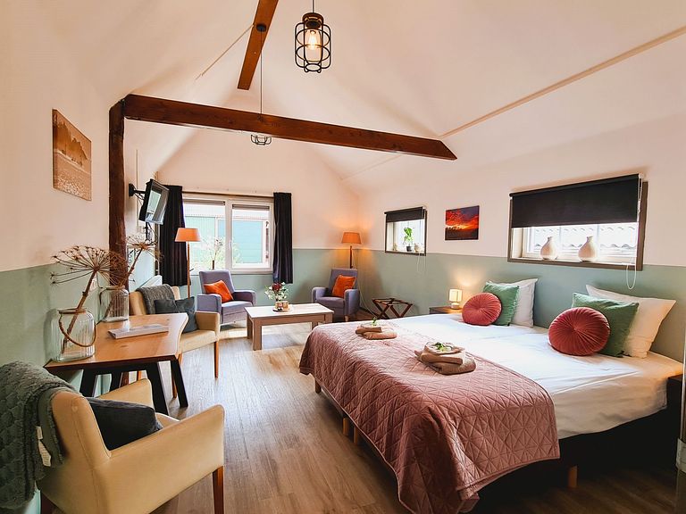 Nice room in the countryside in Friesland - 1