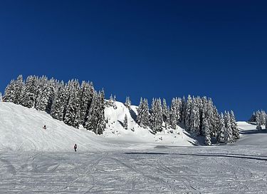 Familielejlighed i Saalbach-Hinterglemm - 35