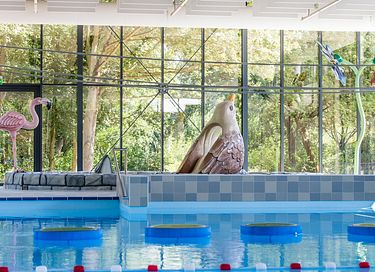 Ideaal voor gezinnen: vakantiehuis in Limburg - 20
