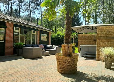 Verstecktes Waldhaus mit privatem Wellness - 5